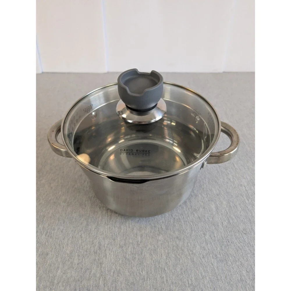 David Burke Gourmet Pro Stainless Steel Stockpot 3.3 Qt Glass Lid Double Handle